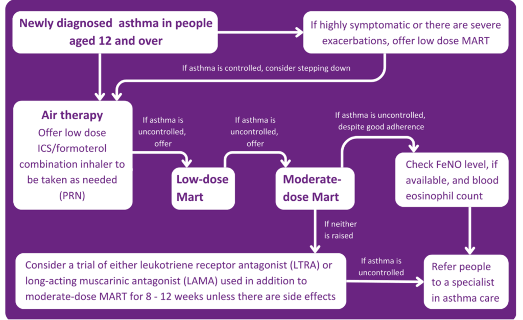 Practical insights for asthma care: The new NICE/BTS/SIGN guidelines. Why FeNO first?